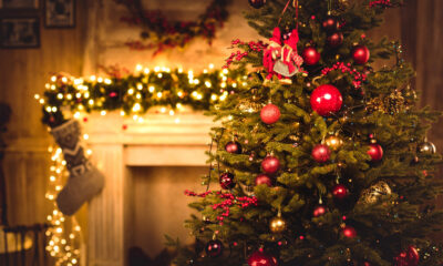 Alberto di Natale (© Depositphotos)