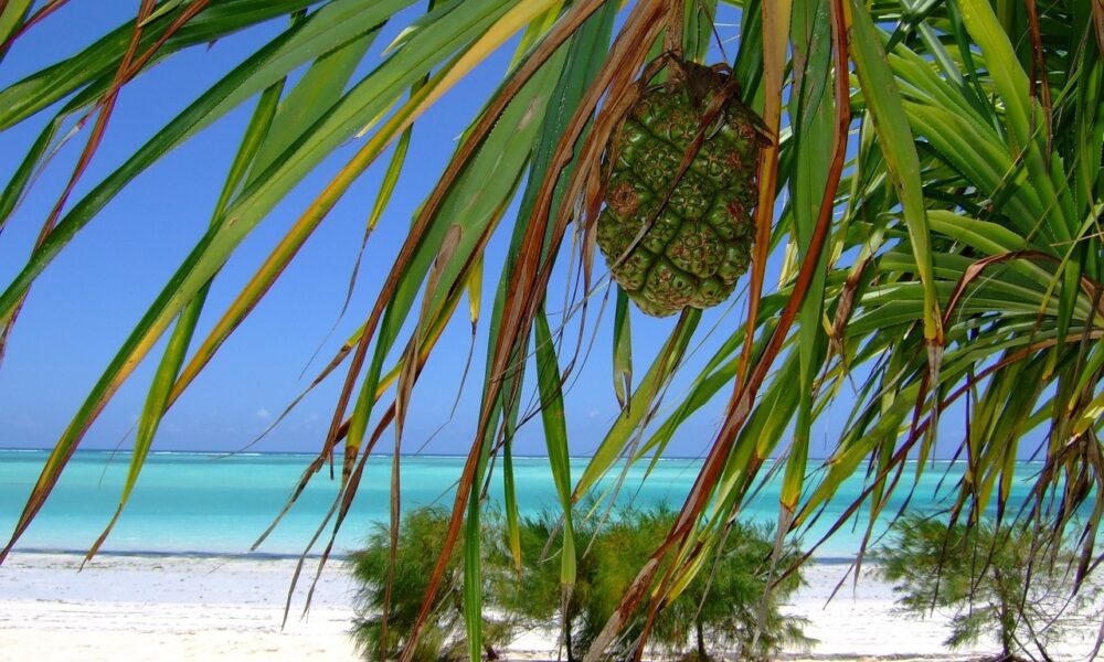 Spiaggia a Zanzibar