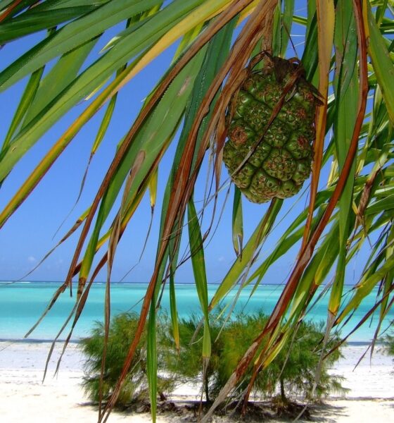 Spiaggia a Zanzibar