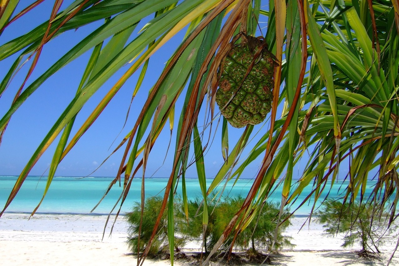 Spiaggia a Zanzibar