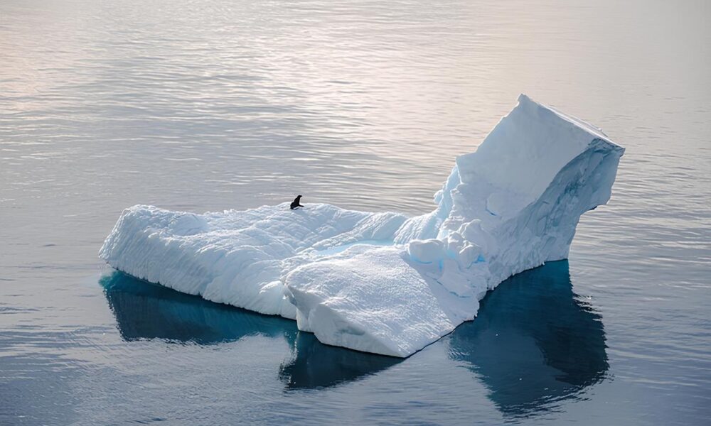 Ivan Presta analizza il cambiamento climatico - Scioglimento calotte polari