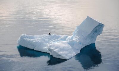 Ivan Presta analizza il cambiamento climatico - Scioglimento calotte polari