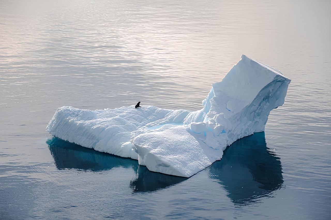 Ivan Presta analizza il cambiamento climatico - Scioglimento calotte polari