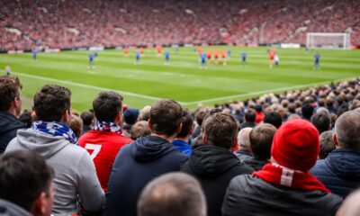 Pubblico allo stadio