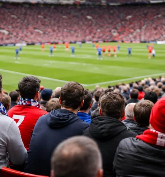 Pubblico allo stadio