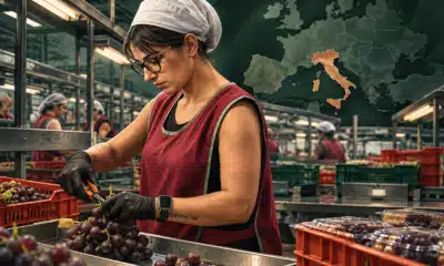 Illustrazione di una lavoratrice al confezionamento della frutta lungo una linea di lavoro.